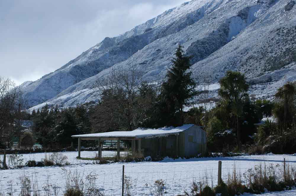 252 - Nueva Zelanda, paisaje